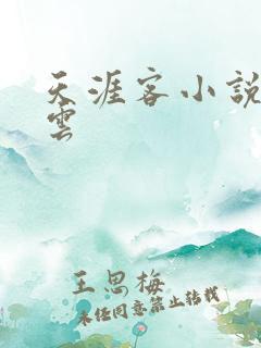 天涯客小说百度云