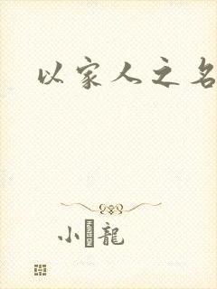 以家人之名原著