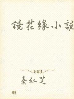 镜花缘小说