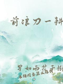 前浪刀一耕