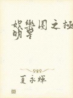 娱乐圈之极品大明星