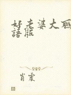 好老婆大联盟国语版