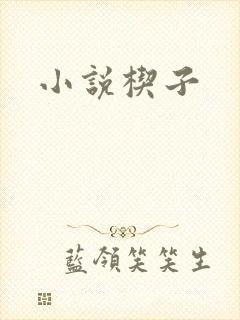 小说楔子