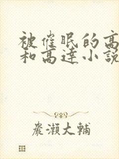 被催眠的高小柔和高达小说