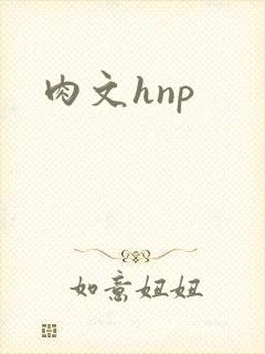 肉文hnp