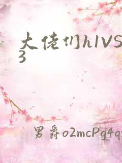 大佬们h1VS3