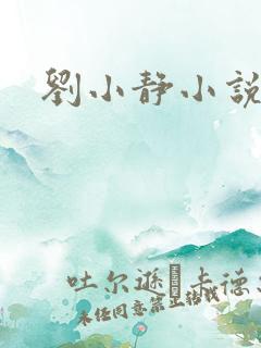 刘小静小说