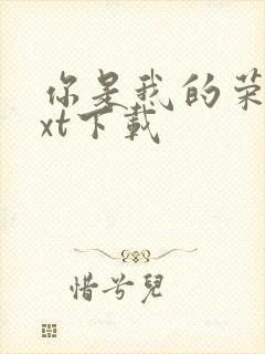 你是我的荣耀txt下载