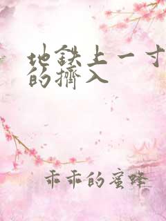 地铁上一寸一寸的挤入