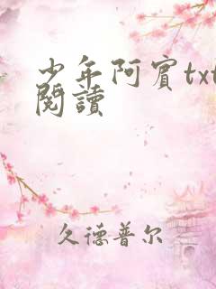 少年阿宾txt阅读