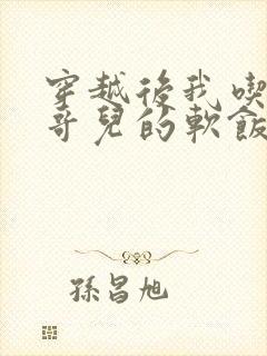 穿越后我吃到了哥儿的软饭炉山灰