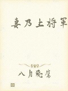 妻乃上将军下载