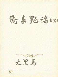 飞来艳福txt