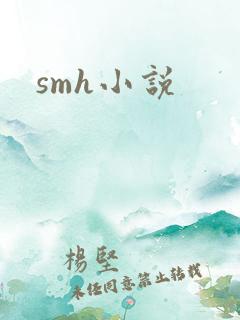 smh小说
