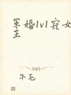 军婚1v1宠女主