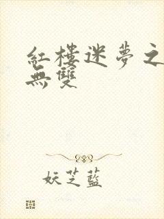 红楼迷梦之国士无双