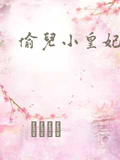 偷儿小皇妃