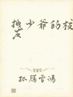 拽少爷的校花女友