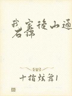 我家后山通仙界石锦