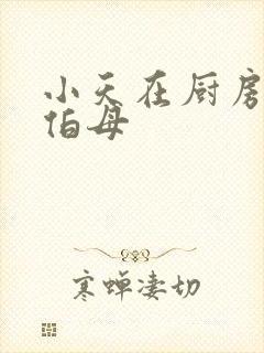 小天在厨房插杨伯母