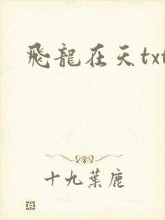 飞龙在天txt