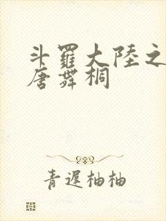 斗罗大陆之肉奴唐舞桐