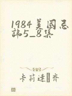 1984美国忌讳5_8集