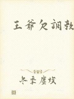王爷欠调教