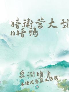 暗卫营大型hpn暗鸦