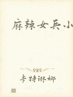 麻辣女兵小说版