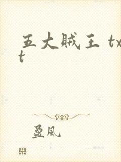 五大贼王 txt