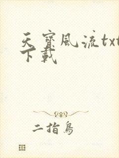 天宝风流txt下载