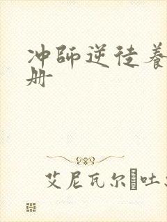 冲师逆徒养成手册