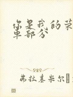 你是我的荣耀开车部分