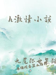 h激情小说