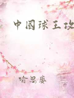 中国球王攻略