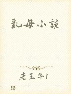 乱母小说