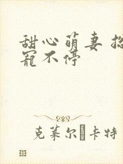 甜心萌妻 总裁宠不停