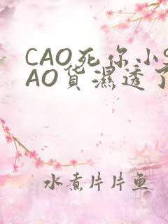 CAO死你小SAO货湿透了学长