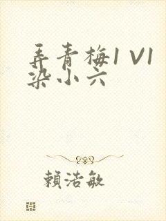弄青梅1 V1染小六
