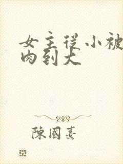 女主从小被用药肉到大