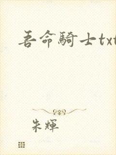 吾命骑士txt