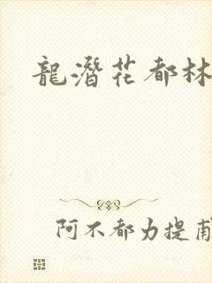 龙潜花都林逸