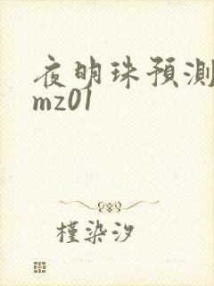 夜明珠预测 ymz01
