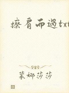 擦肩而过txt