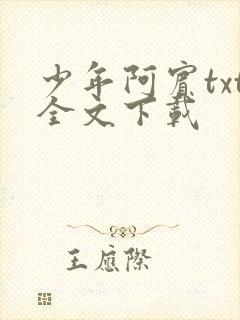 少年阿宾txt全文下载