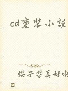 cd变装小说