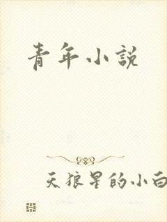 青年小说