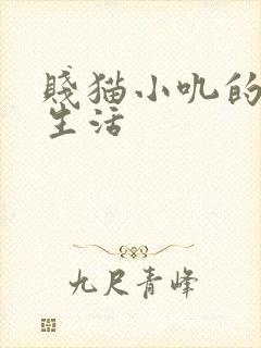 贱猫小叽的幸福生活