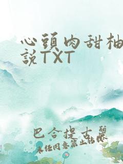 心头肉甜柚子小说TXT